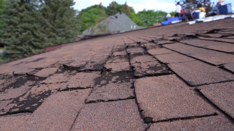 Best Roof Leak Repair  in Zion, IL