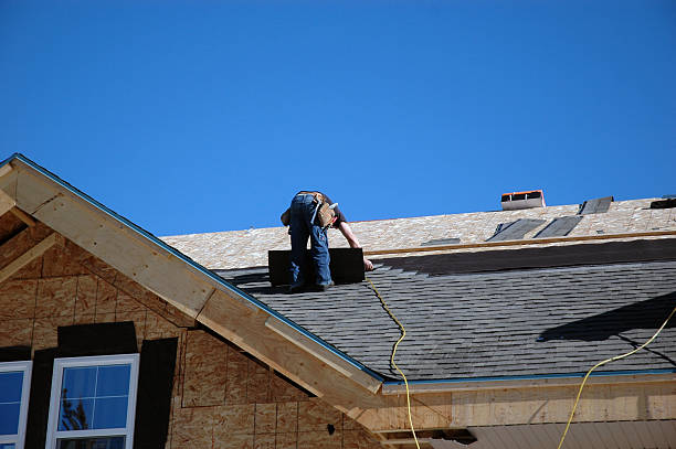 Best Roof Insulation Installation  in Zion, IL